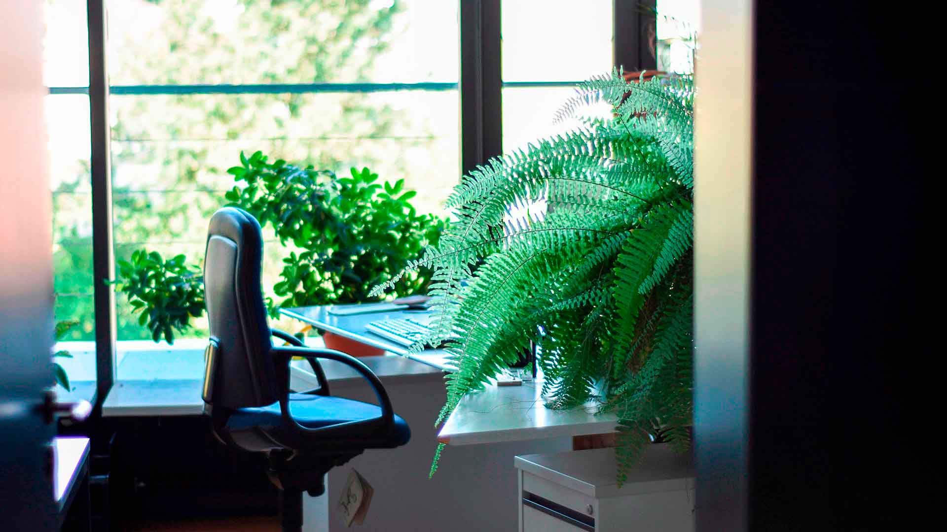<h2>This is Default Slide 2 Title</h2><div class='slide-content'><p><span class='highlight'>You can completely customize Slide Background Image, Title, Text, Link URL and Text.</span></p><p><span class='highlight'>Navigate to Admin Panel -> Left Menu -> Appearance -> Customize -> Slider Section, update slider fields and save changes.</span></p></div><a href='#' class='btn' title='Read more'>Read more</a>